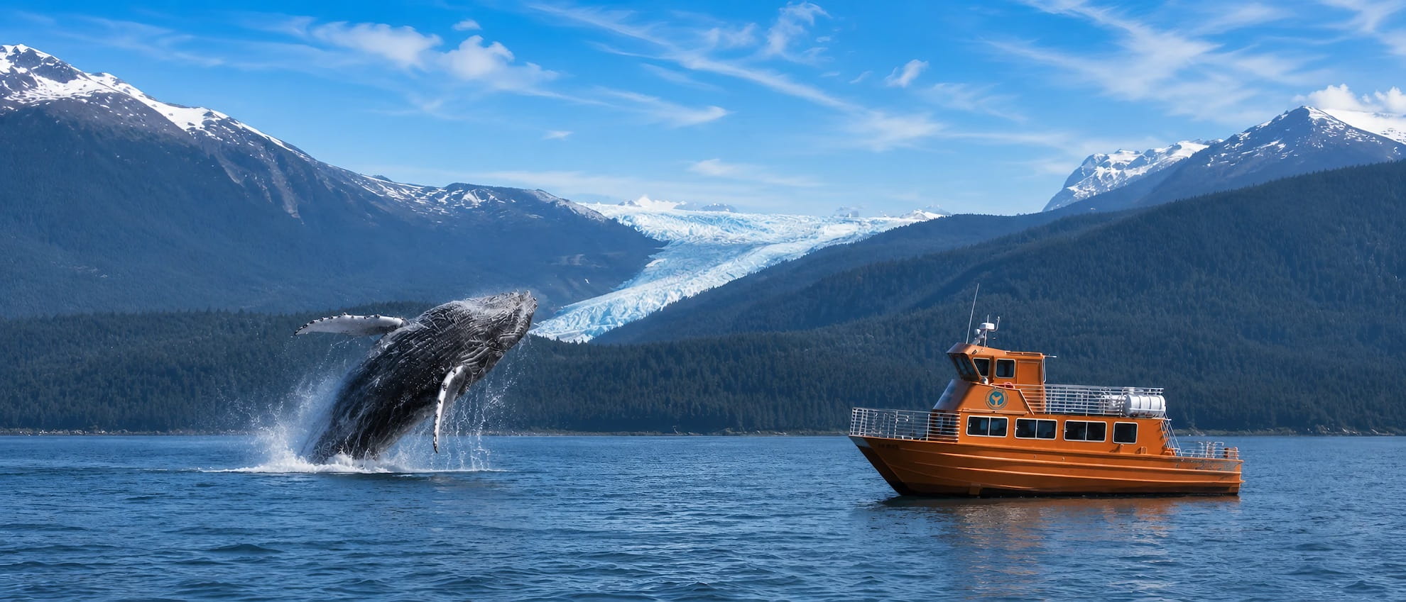 Juneau Alaska Whale Watching Tours